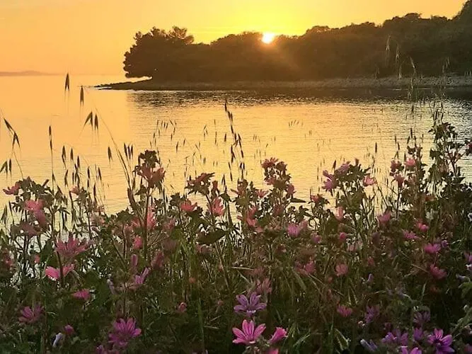 Holiday Home Casa Lorela In Sali, Island Dugi Otok